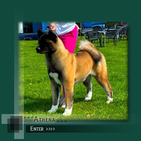 Click enter Athena's Page