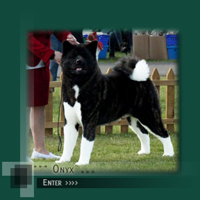 Click to enter Onyx's Page